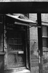 Pigeon nest, Receiving area, Millers Falls plant, Greenfield, Massachusetts